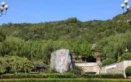 边巴扎西与促进各民族交往交流交融专题